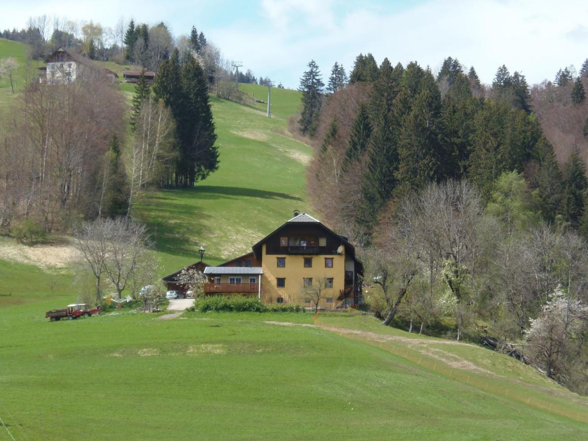 Casa Safra Villa Kotschach-Mauthen Екстериор снимка